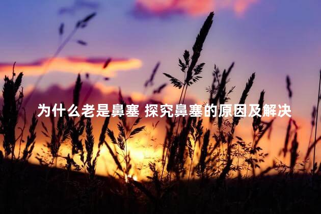 为什么老是鼻塞 探究鼻塞的原因及解决方法